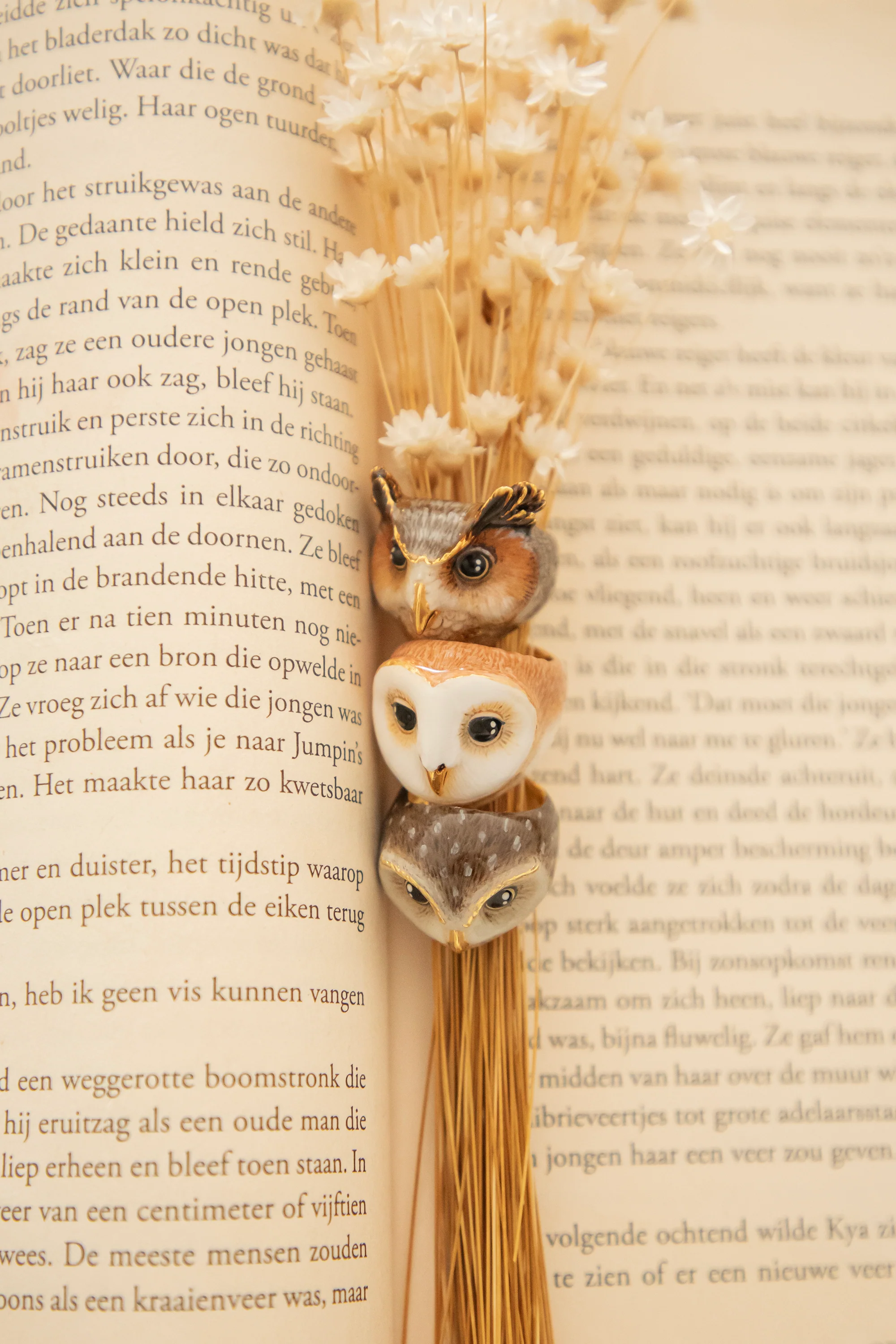 Merry Owl Brown - Ring - Image 3